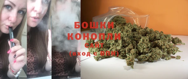 дживик Верея