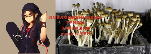 трава Верхнеуральск
