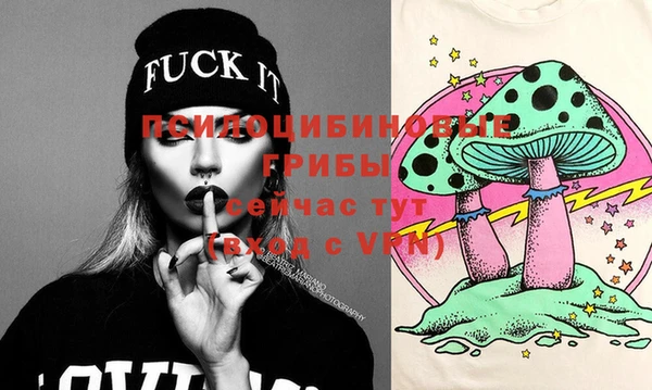 дживик Верея